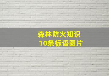 森林防火知识10条标语图片