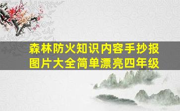 森林防火知识内容手抄报图片大全简单漂亮四年级