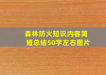 森林防火知识内容简短总结50字左右图片