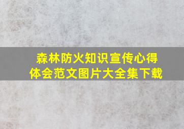 森林防火知识宣传心得体会范文图片大全集下载