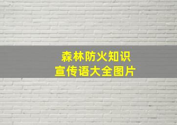 森林防火知识宣传语大全图片