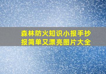 森林防火知识小报手抄报简单又漂亮图片大全