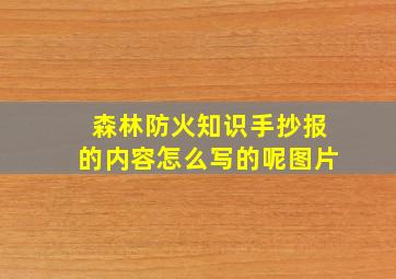 森林防火知识手抄报的内容怎么写的呢图片