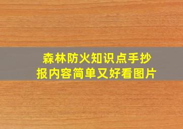 森林防火知识点手抄报内容简单又好看图片