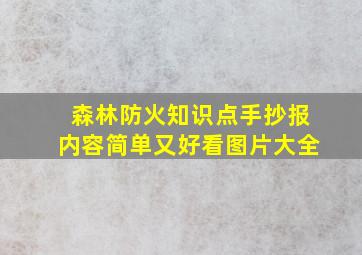 森林防火知识点手抄报内容简单又好看图片大全