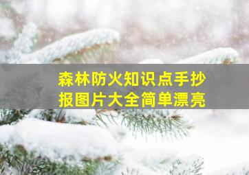 森林防火知识点手抄报图片大全简单漂亮