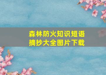 森林防火知识短语摘抄大全图片下载