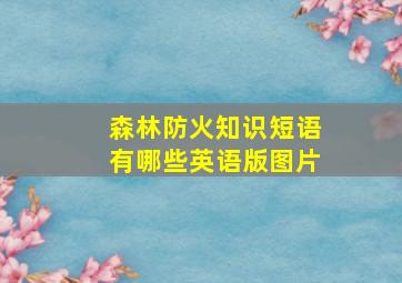 森林防火知识短语有哪些英语版图片