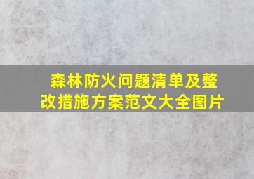 森林防火问题清单及整改措施方案范文大全图片