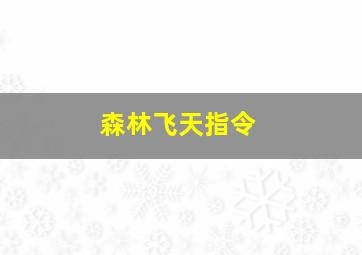 森林飞天指令