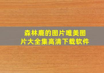 森林鹿的图片唯美图片大全集高清下载软件