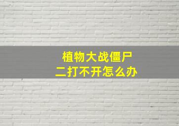 植物大战僵尸二打不开怎么办