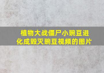 植物大战僵尸小豌豆进化成毁灭豌豆视频的图片