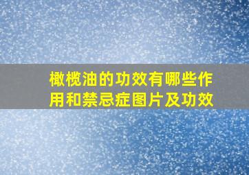 橄榄油的功效有哪些作用和禁忌症图片及功效