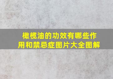 橄榄油的功效有哪些作用和禁忌症图片大全图解