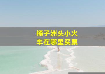 橘子洲头小火车在哪里买票