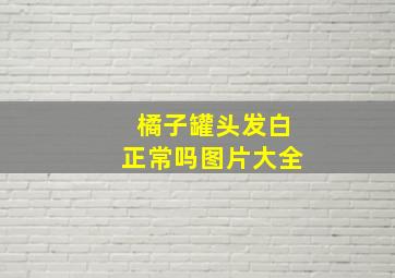 橘子罐头发白正常吗图片大全