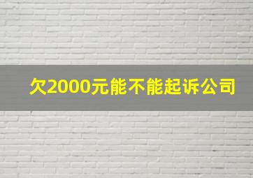 欠2000元能不能起诉公司