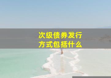 次级债券发行方式包括什么