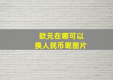 欧元在哪可以换人民币呢图片