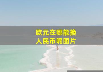 欧元在哪能换人民币呢图片