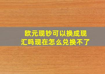 欧元现钞可以换成现汇吗现在怎么兑换不了