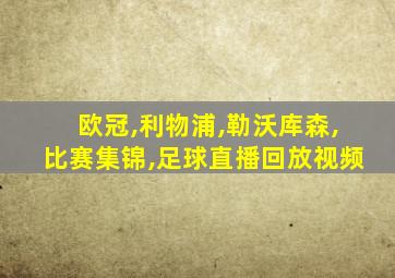 欧冠,利物浦,勒沃库森,比赛集锦,足球直播回放视频