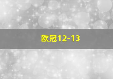 欧冠12-13