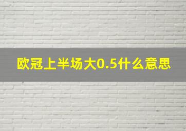 欧冠上半场大0.5什么意思