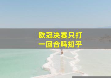 欧冠决赛只打一回合吗知乎