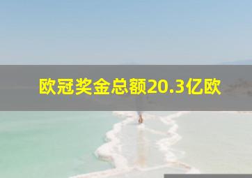 欧冠奖金总额20.3亿欧