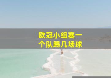 欧冠小组赛一个队踢几场球