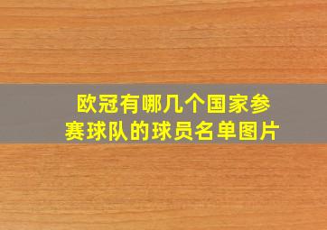 欧冠有哪几个国家参赛球队的球员名单图片