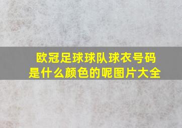 欧冠足球球队球衣号码是什么颜色的呢图片大全