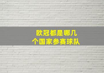 欧冠都是哪几个国家参赛球队