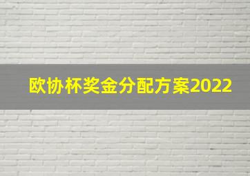 欧协杯奖金分配方案2022