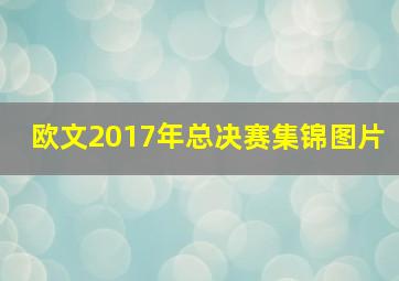 欧文2017年总决赛集锦图片