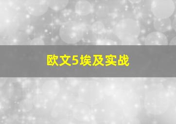 欧文5埃及实战