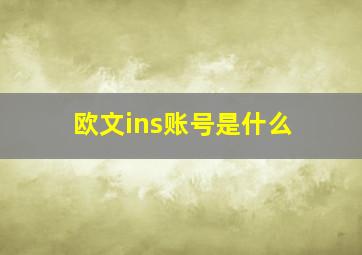 欧文ins账号是什么