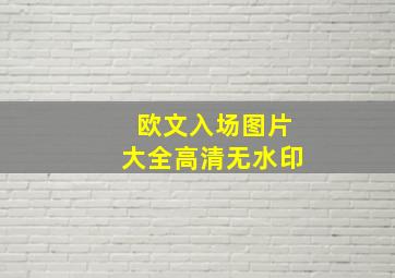 欧文入场图片大全高清无水印