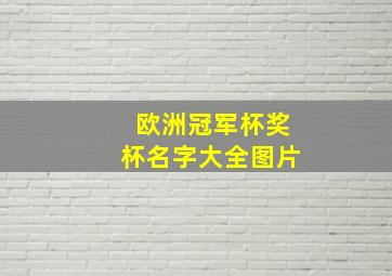 欧洲冠军杯奖杯名字大全图片