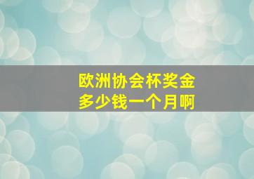 欧洲协会杯奖金多少钱一个月啊