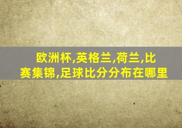 欧洲杯,英格兰,荷兰,比赛集锦,足球比分分布在哪里