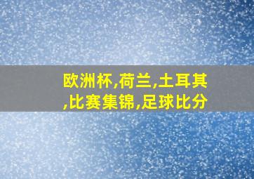 欧洲杯,荷兰,土耳其,比赛集锦,足球比分