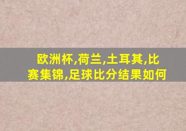 欧洲杯,荷兰,土耳其,比赛集锦,足球比分结果如何