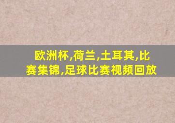 欧洲杯,荷兰,土耳其,比赛集锦,足球比赛视频回放