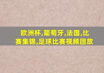 欧洲杯,葡萄牙,法国,比赛集锦,足球比赛视频回放