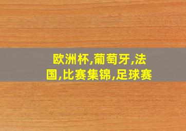 欧洲杯,葡萄牙,法国,比赛集锦,足球赛