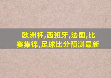 欧洲杯,西班牙,法国,比赛集锦,足球比分预测最新