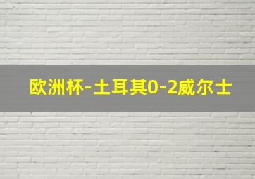 欧洲杯-土耳其0-2威尔士